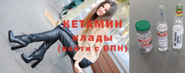 крисы Зерноград
