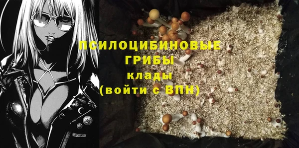 крисы Зеленокумск