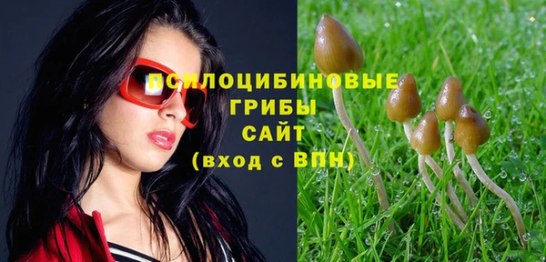 спиды Зеленодольск