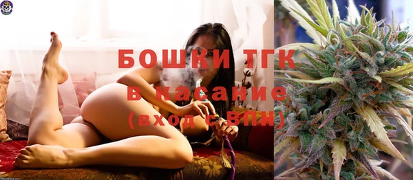крисы Зеленокумск