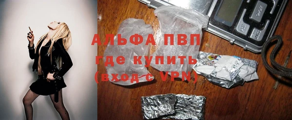 крисы Зерноград